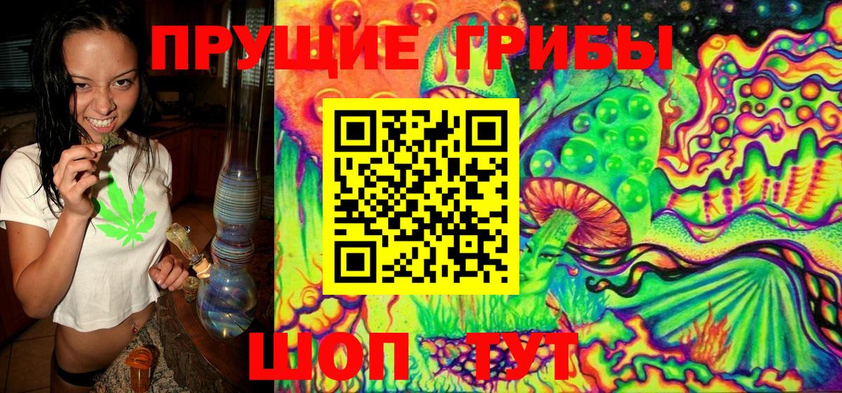 Псилоцибиновые грибы прущие грибы Чусовой